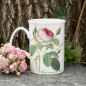 Preview: Henkeltasse "Rose Redoute"