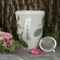 Preview: Teetasse Luise "Rose Redoute"